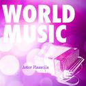 World Music Vol. 9专辑