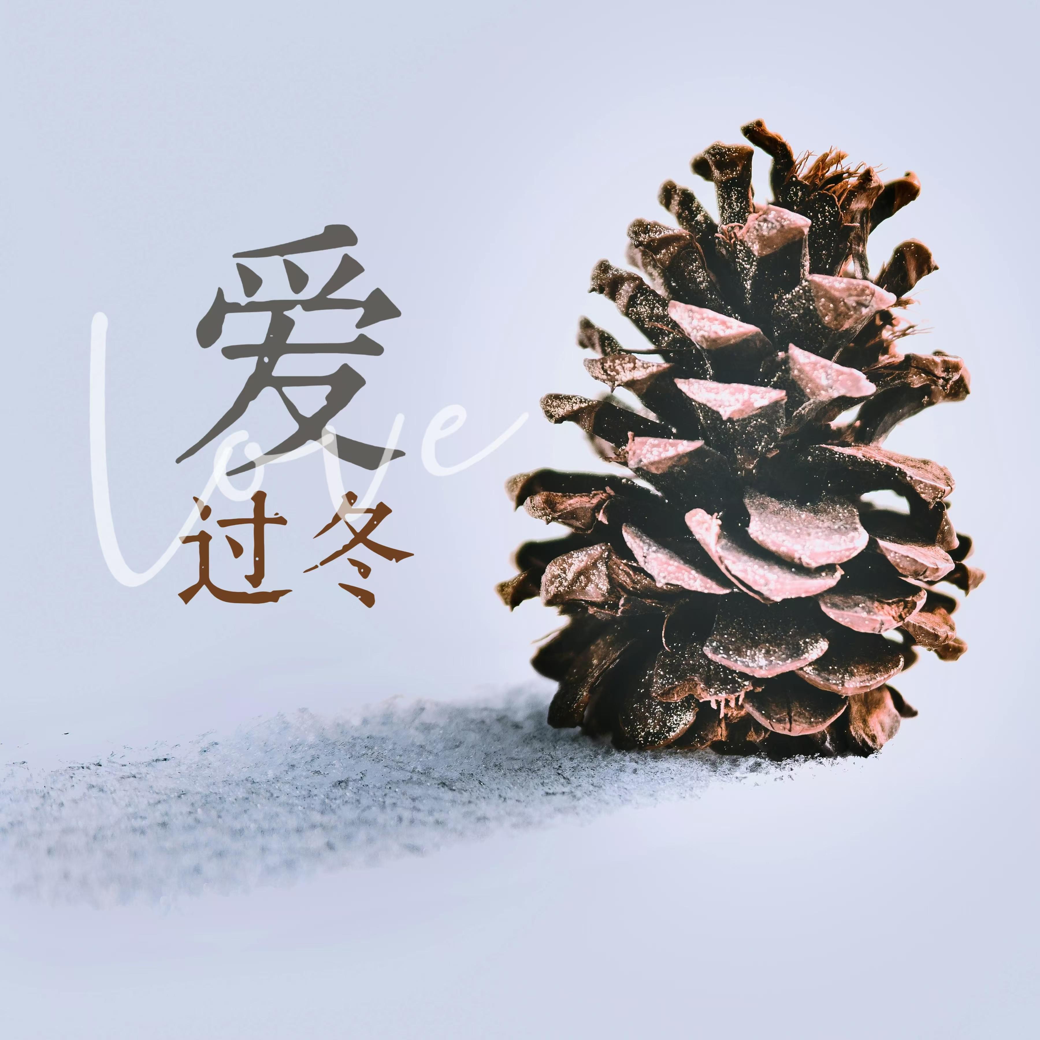 爱过冬（缘为冰）专辑