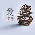 爱过冬（缘为冰）