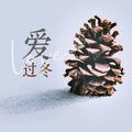 爱过冬（缘为冰）
