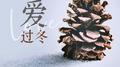 爱过冬（缘为冰）专辑