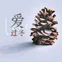 爱过冬（缘为冰）专辑