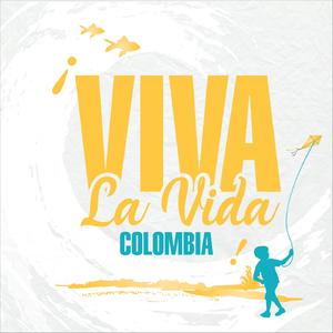 Viva La Vida - Coldplay (karaoke) 带和声伴奏 （降7半音）