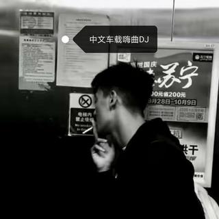 中文车载嗨曲DJ