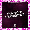 DJ LUIS DO GRAU - Montagem Cynebertica