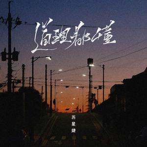 苏星婕 - 道理都懂 (DJAh版)