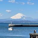 富士山下