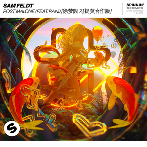 Sam Feldt feat. RANI - Post Malone (Instrumental) 无和声伴奏 （降3半音）