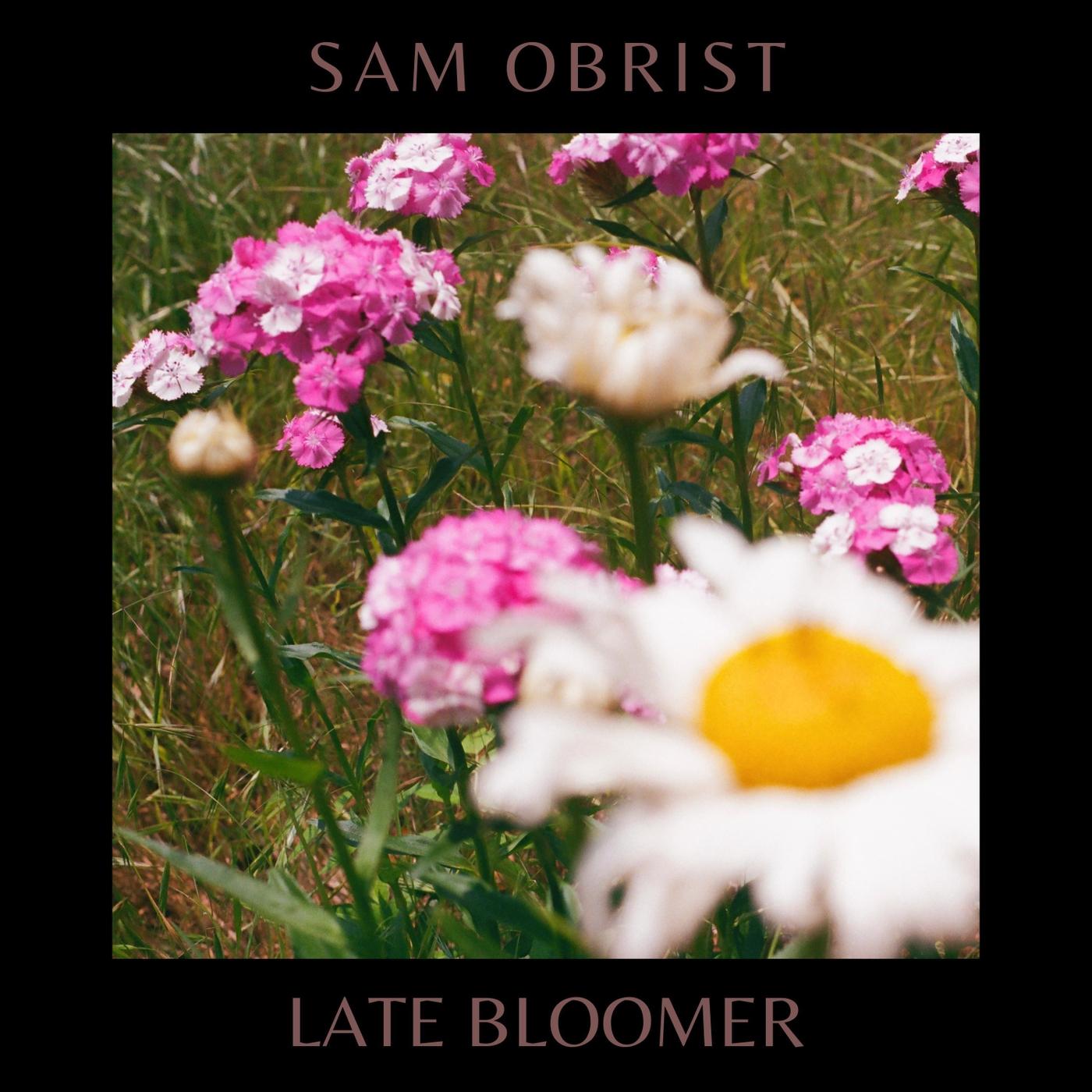 Late Bloomer