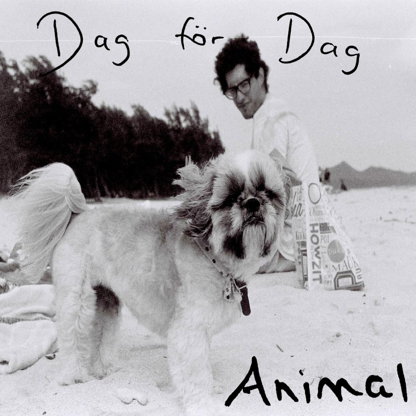 Animal