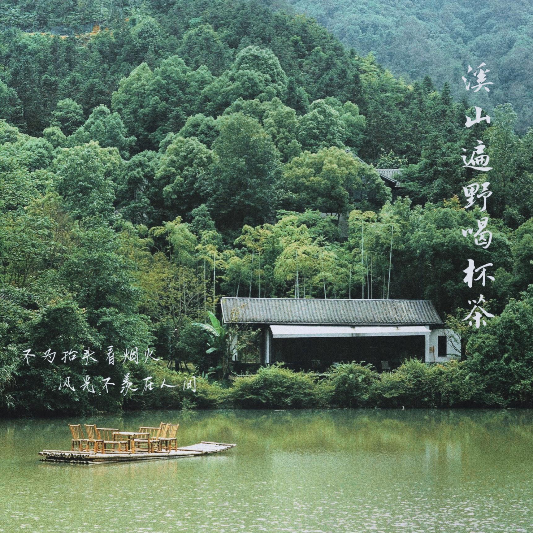 溪山遍野喝杯茶