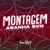 DJ PEDRIN 061 - Montagem Aranha SVN