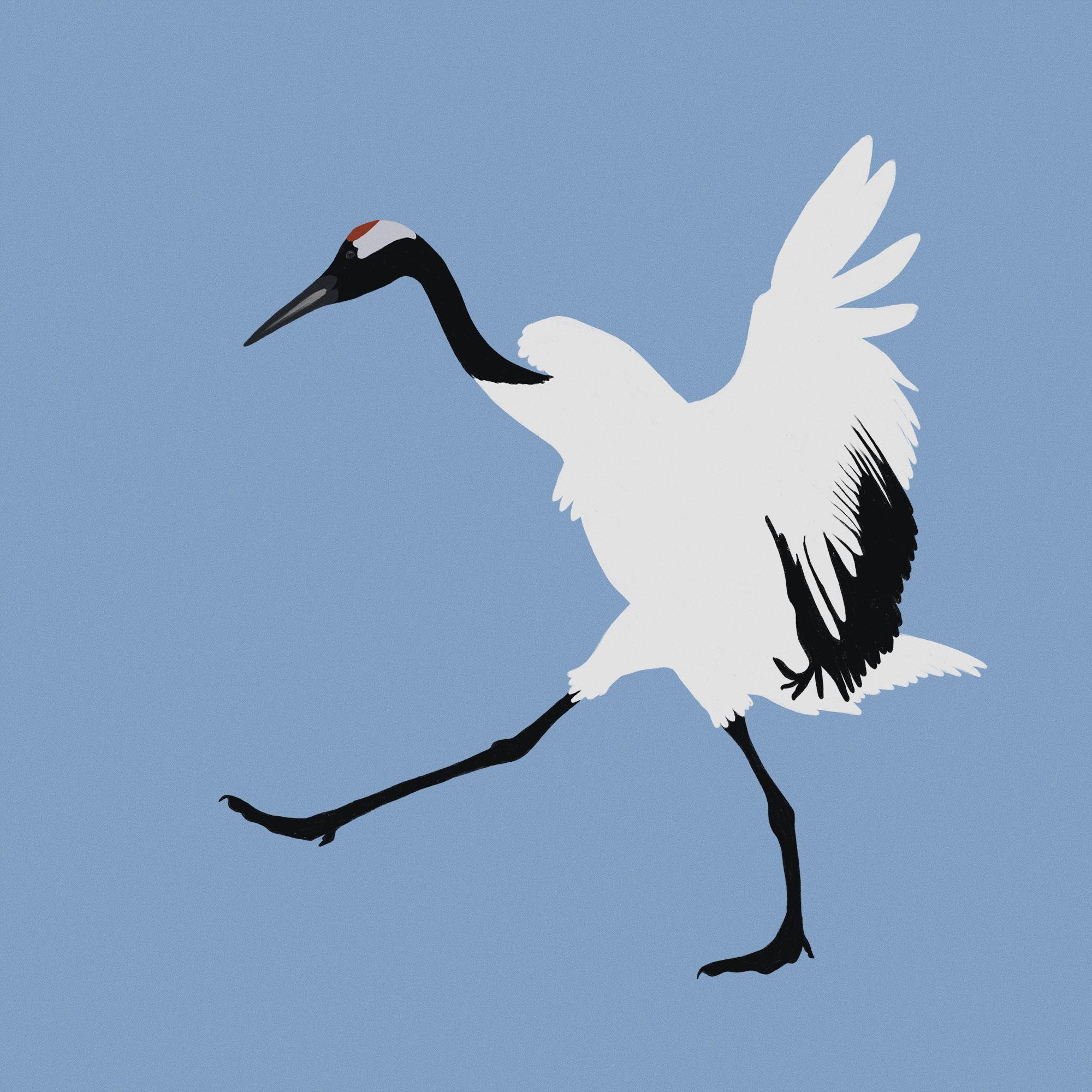 Snow Crane