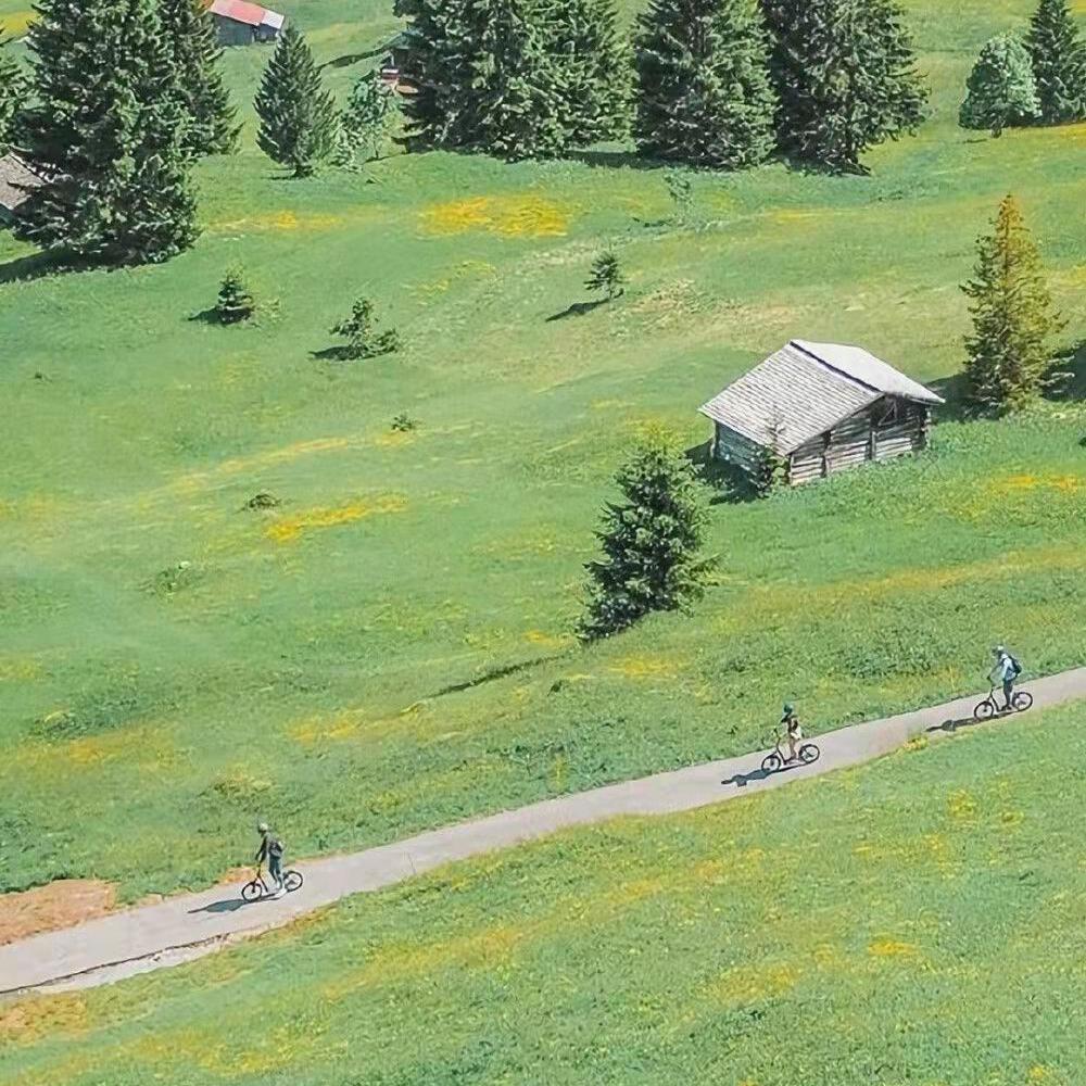 [FREE]