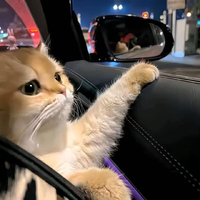 [DJ节目]刘雅松_的DJ节目 第2694期