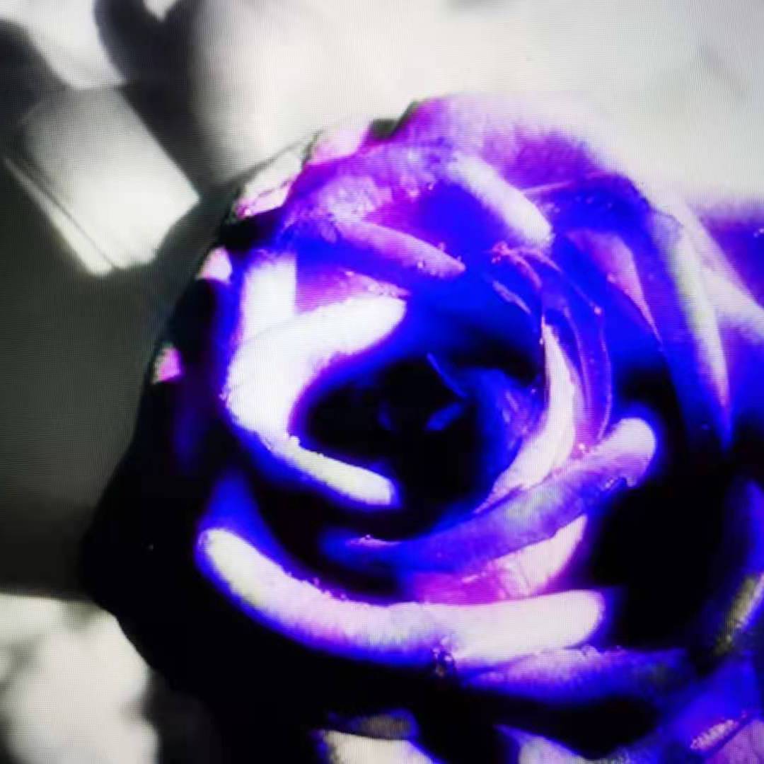 NeverBack（feat.河北吴孟达）