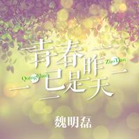 无法把你忘记（女伴奏）