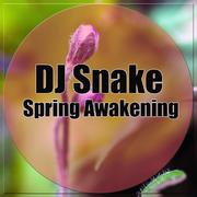 Spring Awakening