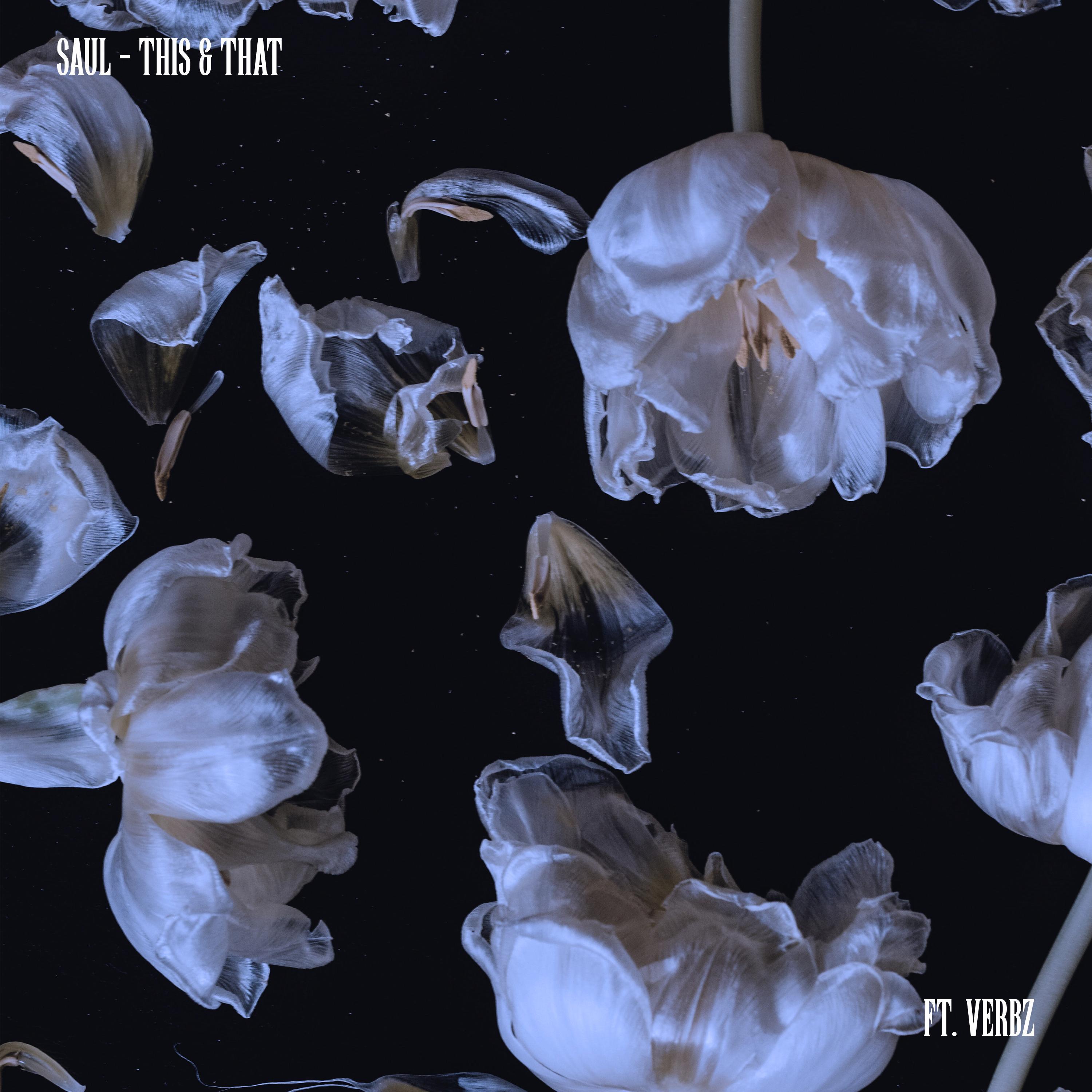 This & That (feat. Verbz)