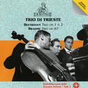 Trio di Trieste, Beethoven, Brahms专辑