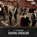 Burning Sensation专辑