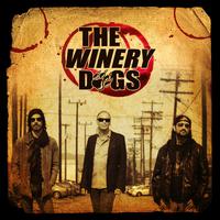 Desire - The Winery Dogs (OT karaoke) 带和声伴奏