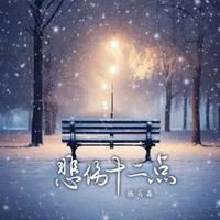 悲伤十二点(张万森下雪了)