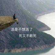 醉了也学不会