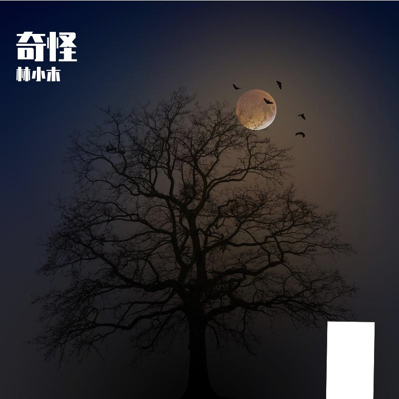 这是什么歌呢？