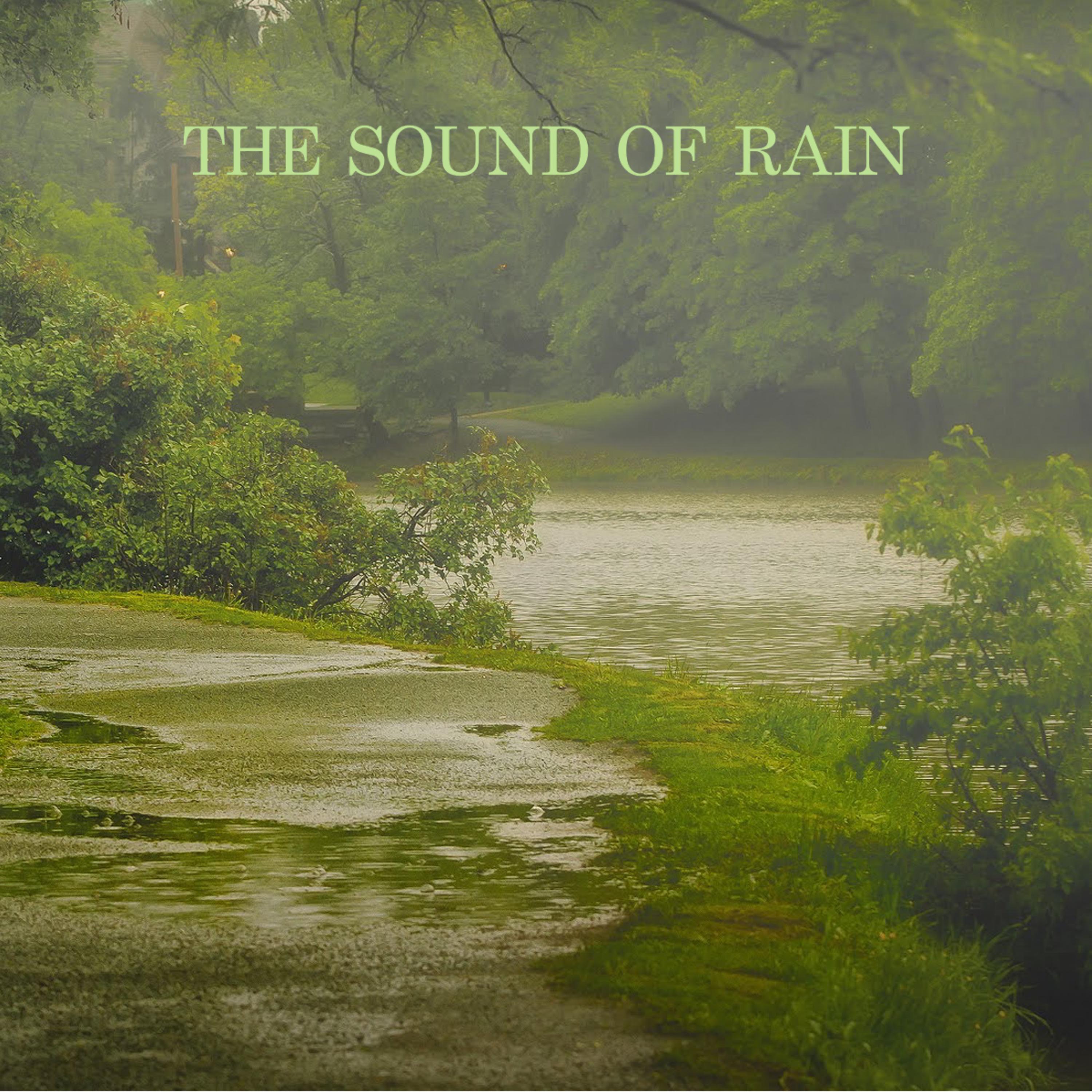 The Sound of Rain专辑