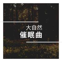 安静音乐 - -Above The Tree tops