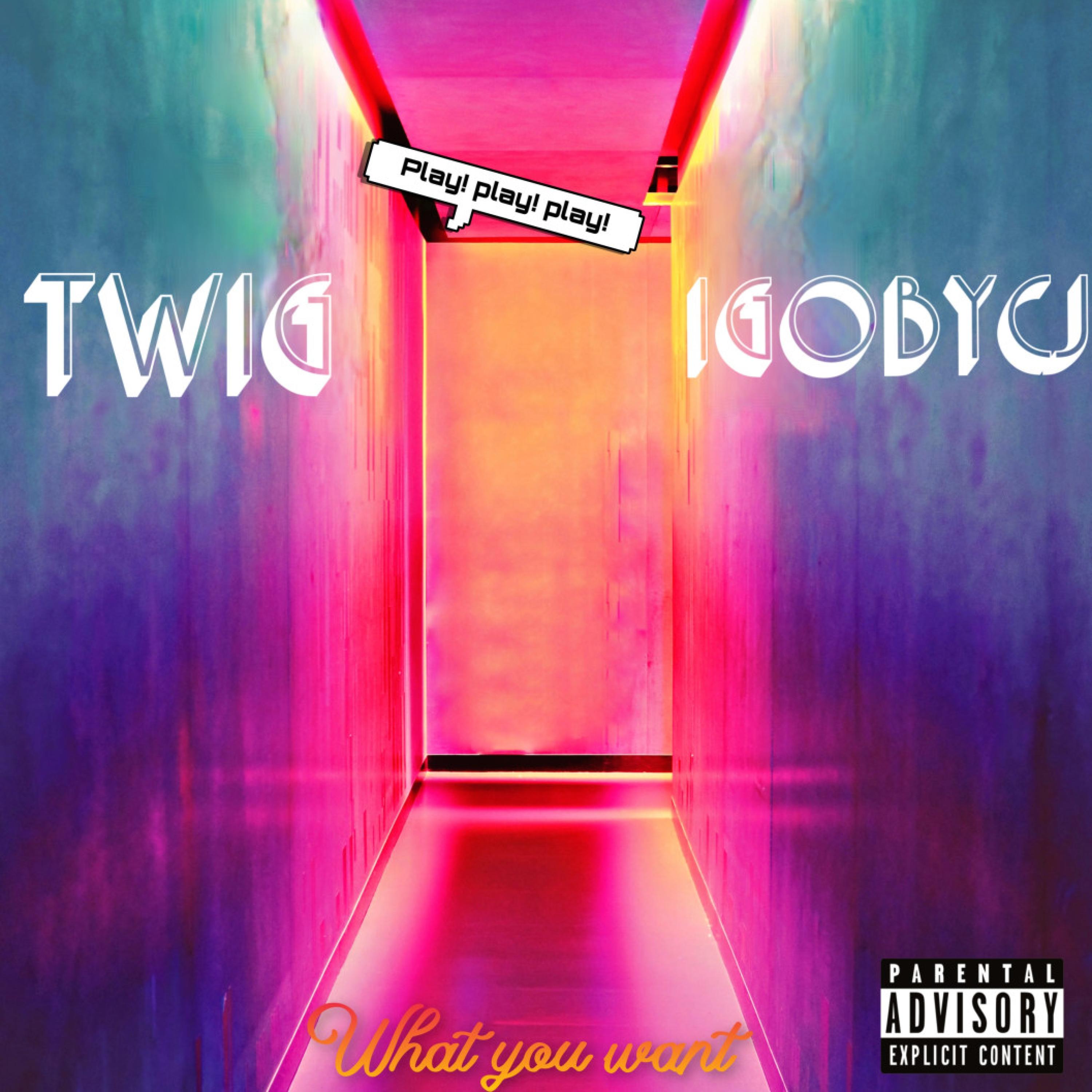 what you want (feat. Twig)