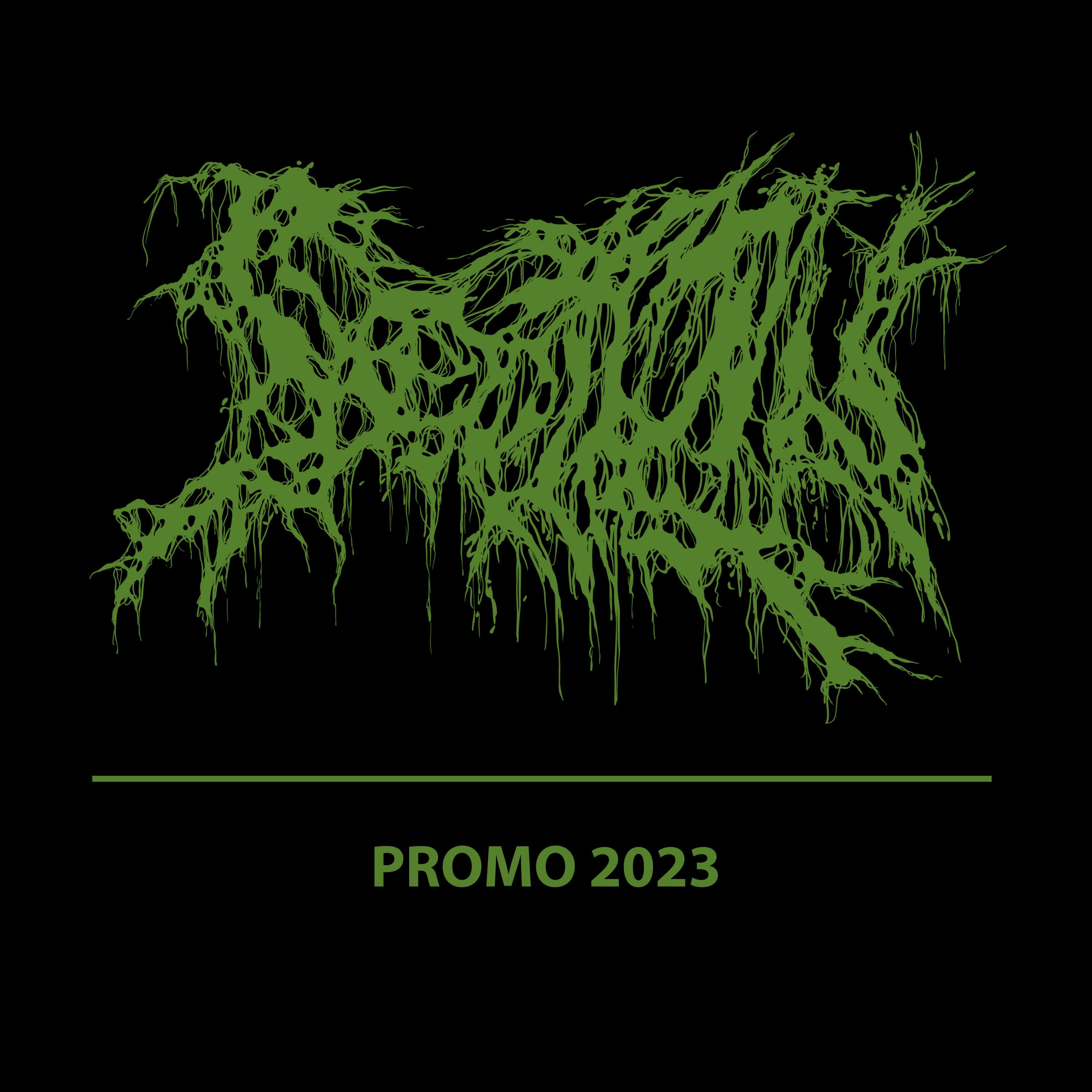 Fields of Decomposition