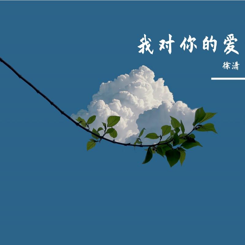 我对你的爱