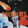 TIGER BEATS