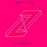 A Different Way (Kayzo Remix)专辑