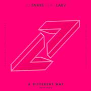 A Different Way (Kayzo Remix)