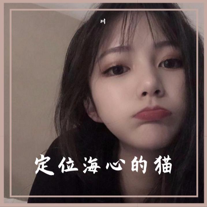 定位海心的猫