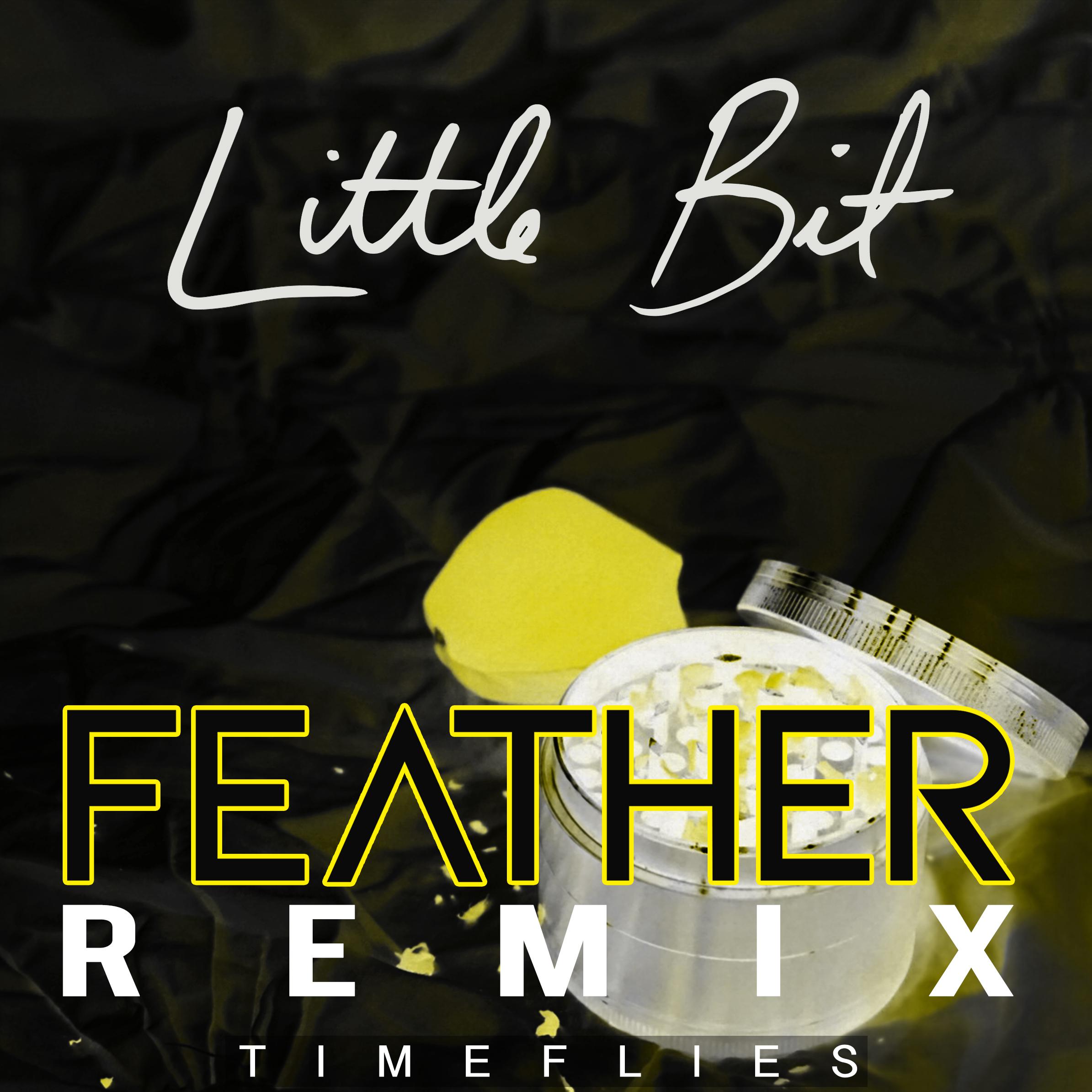 Little Bit (Feather Remix)专辑