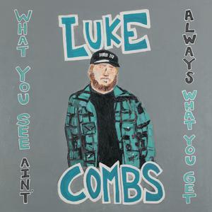 The Other Guy - Luke Combs (unofficial Instrumental) 无和声伴奏 （降8半音）