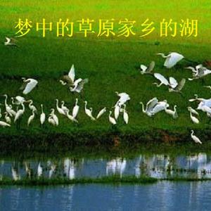 家 乡 的 万 寿 菊-哨音缺女声 （降6半音）