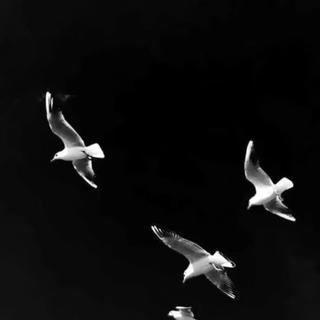 高 级 慵 懒 - 「持更」