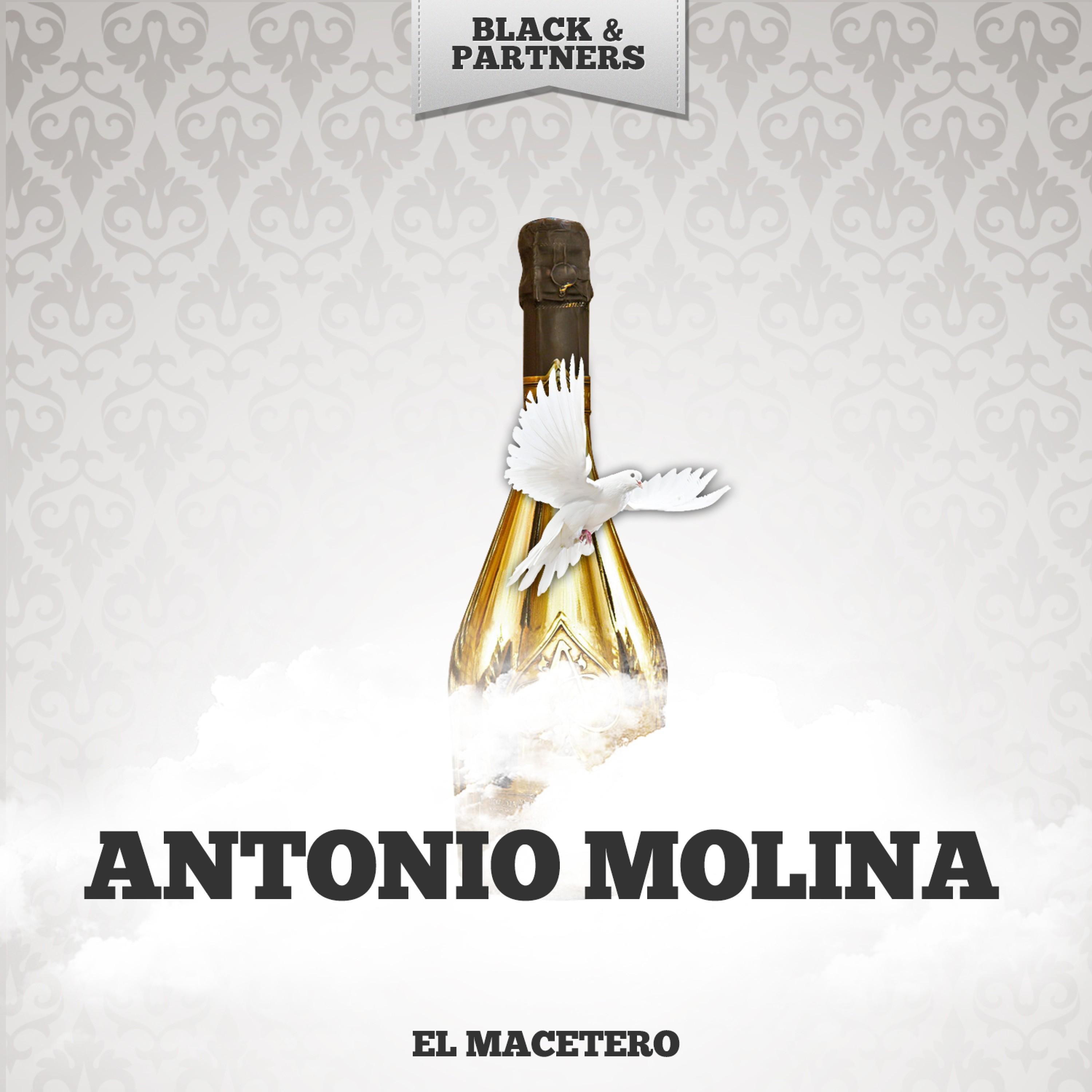 El Macetero