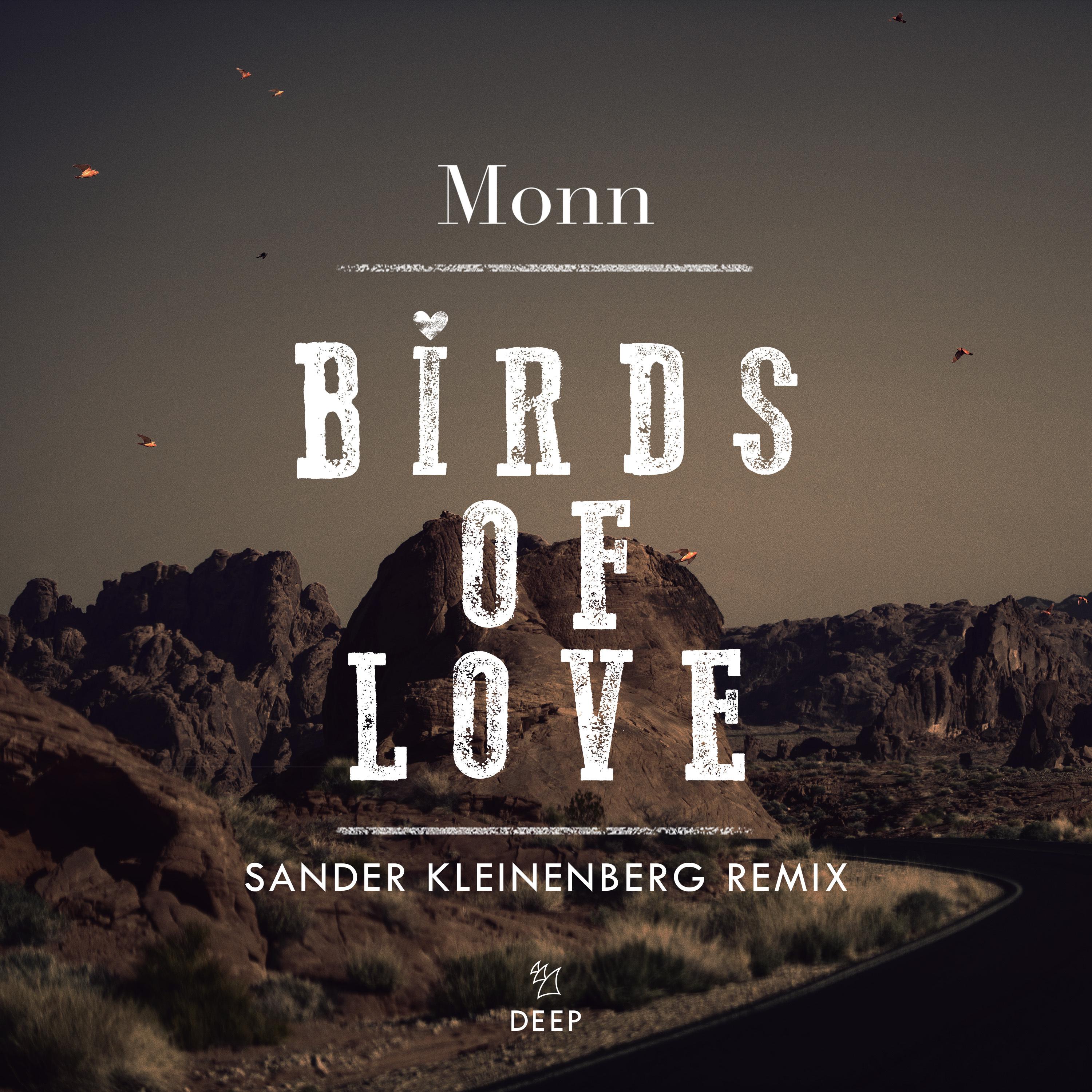 Monn - Birds Of Love (Sander Kleinenberg Extended Remix)