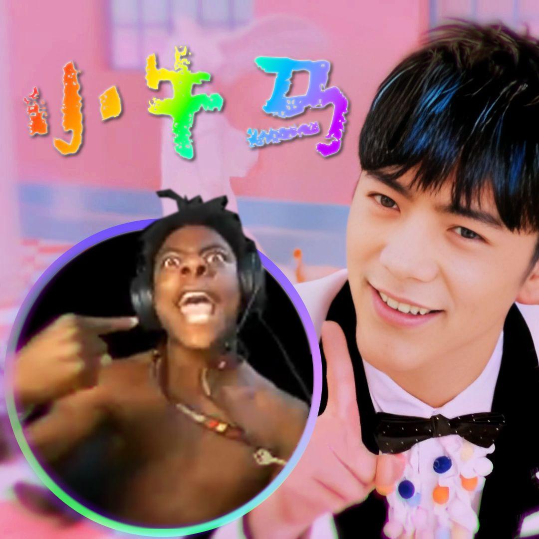 阳光彩虹小牛马