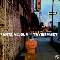 Pants Velour - Taxidermist (Instrumental) 无和声伴奏