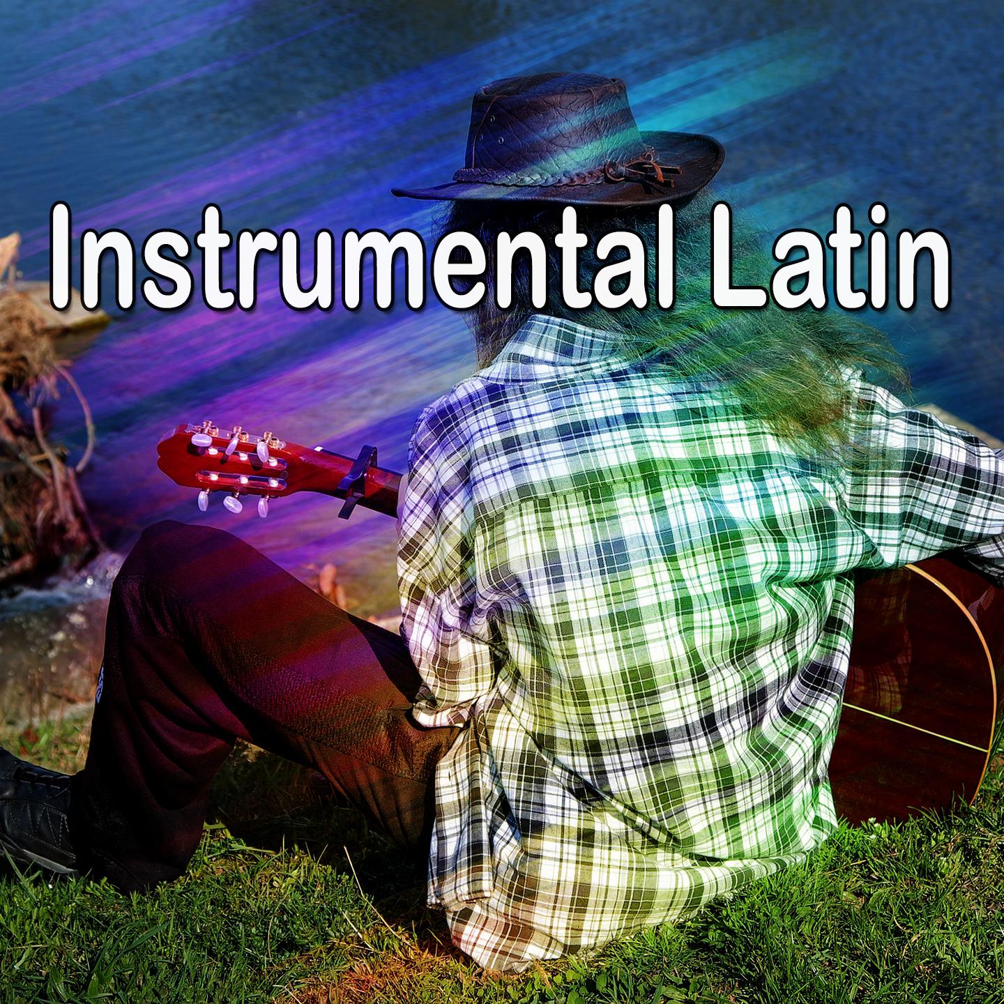 Instrumental Latin专辑