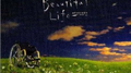 Beatiful Life专辑