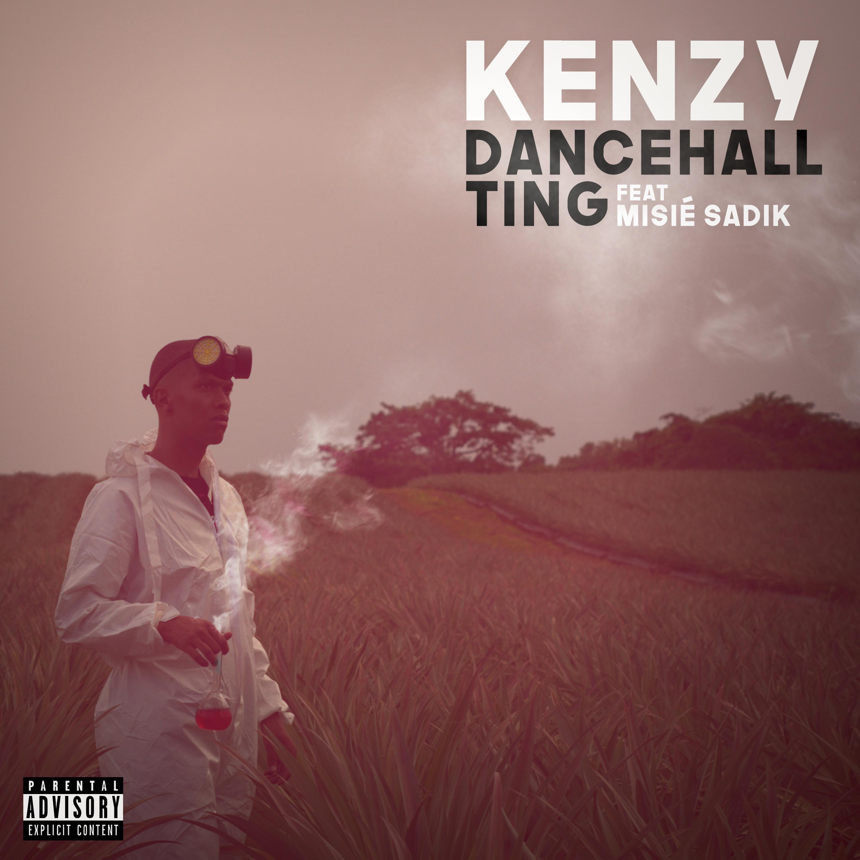 Dancehall Ting (feat. Misié Sadik)