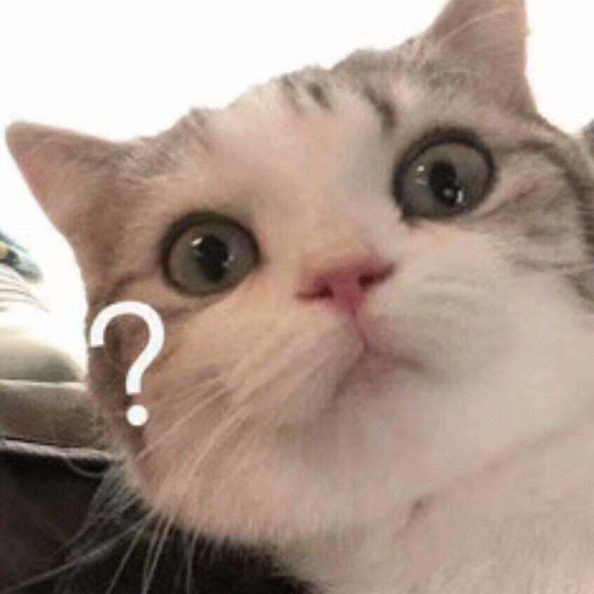 进来蹦迪专辑